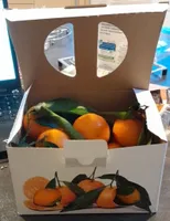 Clementine avec feuilles