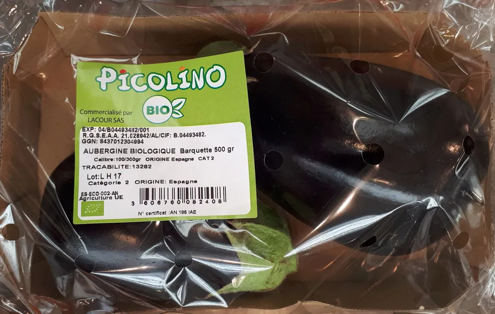 Aubergine bio