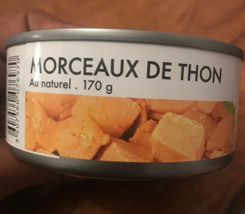 Morceaux de thon
