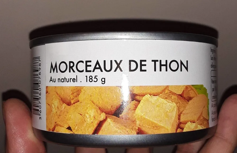 Morceaux de Thon