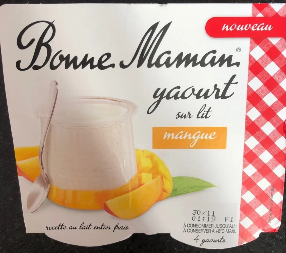 Yaourt sur lit mangue