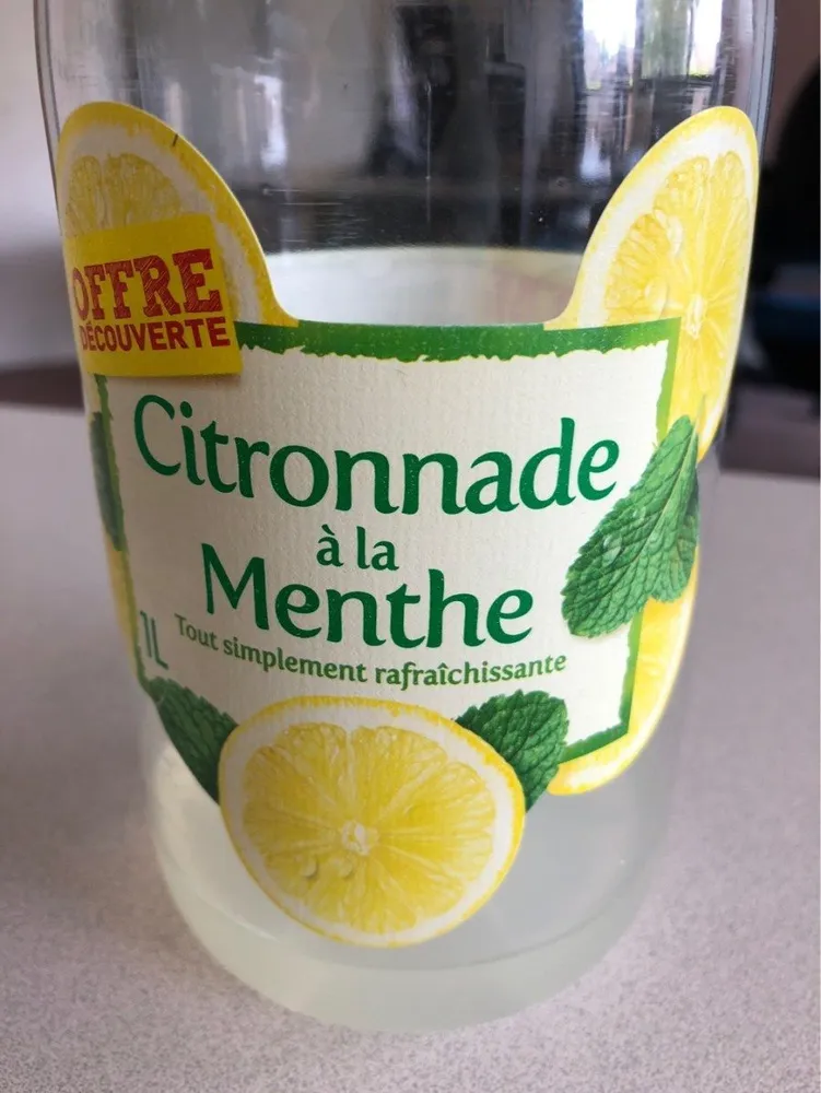 Boisson rafraîchissante aux citrons et à la menthe