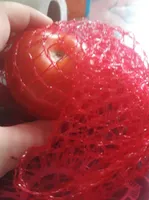 Tomate ronde origine:maroc