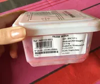 Fraise senga