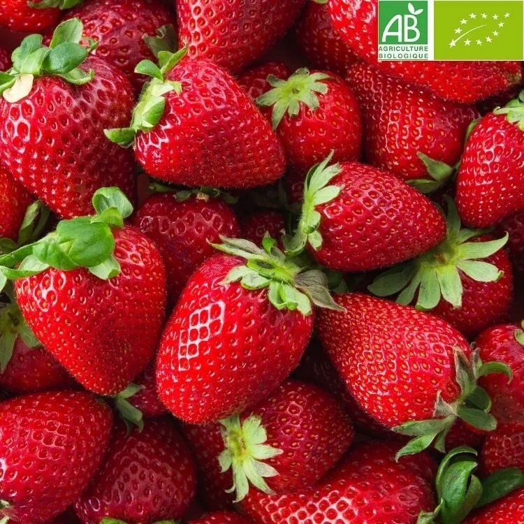 Sorbet artisanal Fraise Senga BIO - Raimo