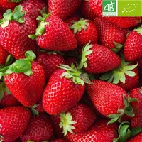 Sorbet artisanal Fraise Senga BIO - Raimo