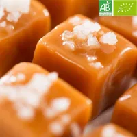 Glace artisanale Caramel Beurre Salé BIO - Raimo - 0.5 litres - minimum 380 g