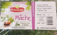 Mâche