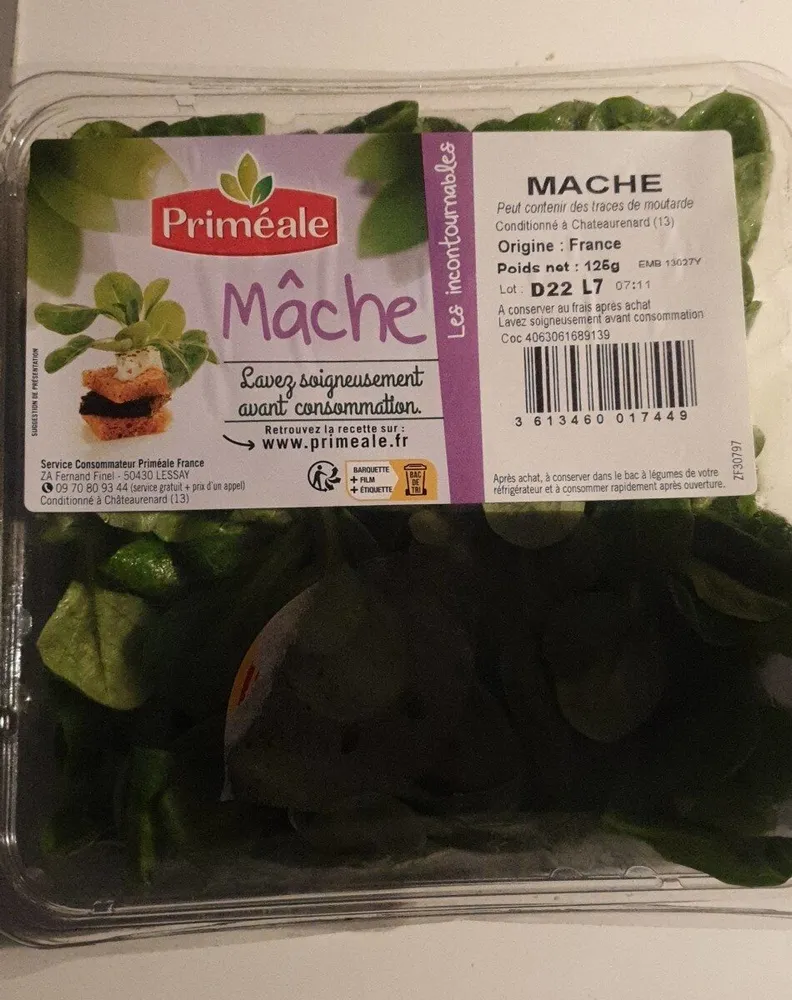 Salade mâche