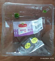 mâche