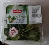 Jeune pousse d'épinards