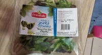 Mélange de jeune pousse