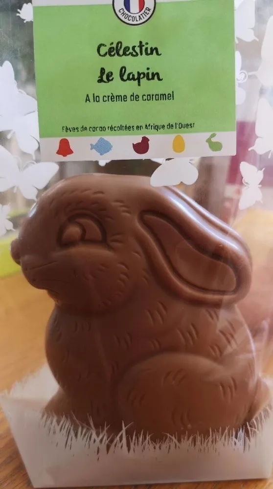 Célestin le lapin