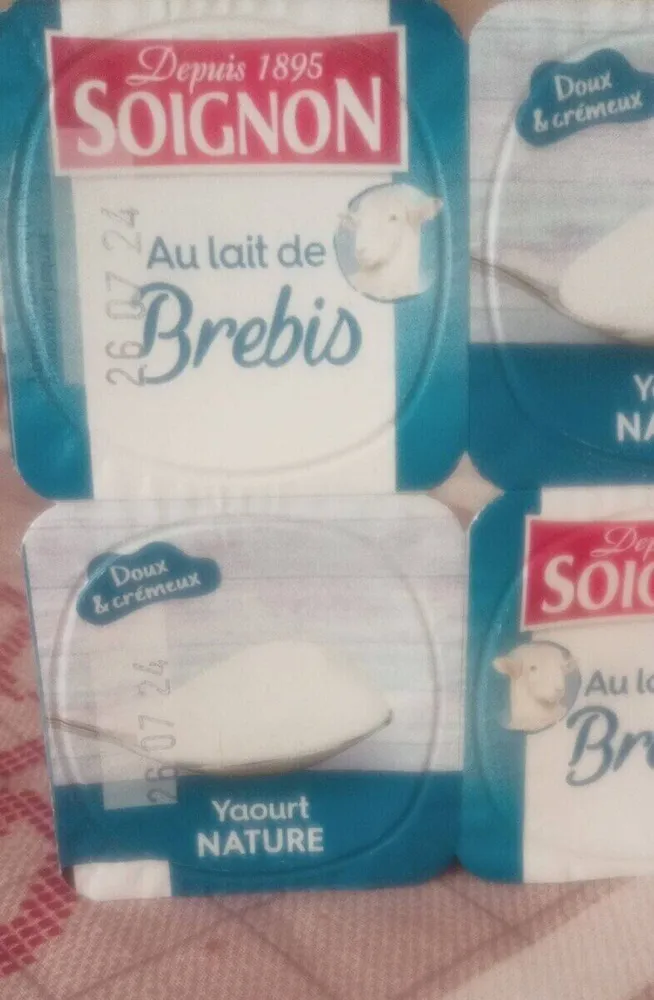 Soignon brebis yaourt