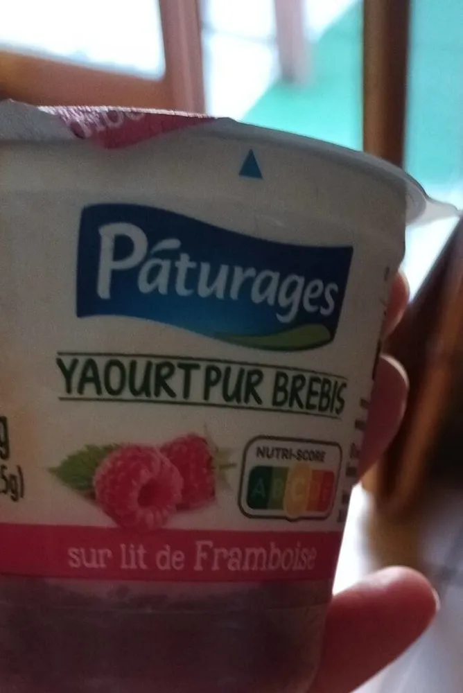 Yaourt pur brebis