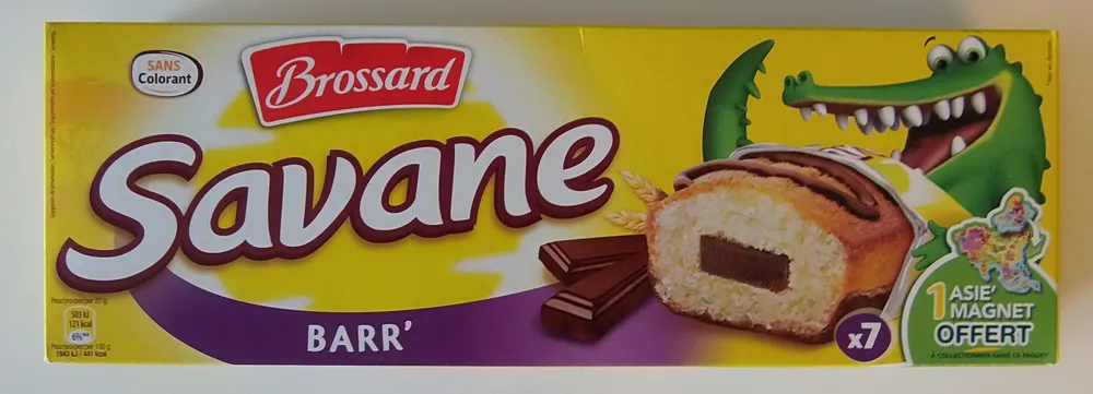 Savane Barr'