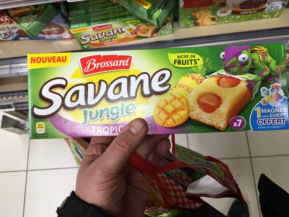 Savane jungle tropique