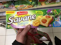 Savane jungle tropique