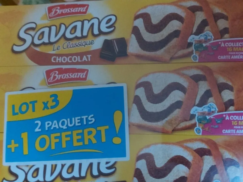 Lot 2+1 offert savane choco 310g