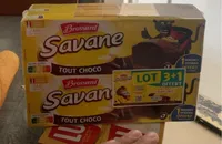 Savane