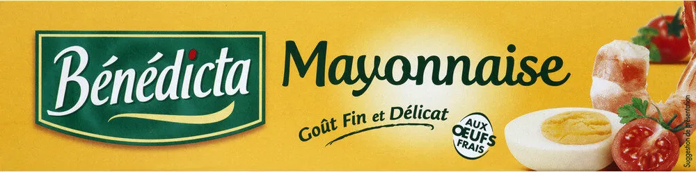 Mayonnaise en tube BENEDICTA