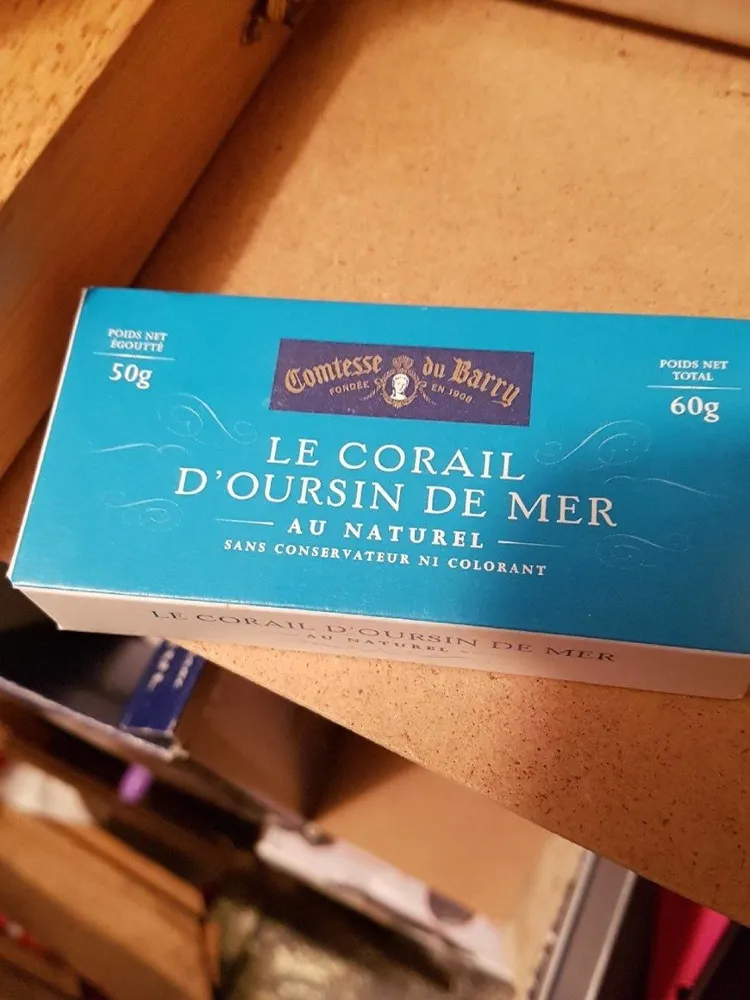 Corail d oursin
