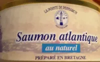 Saumon atlantique au naturel