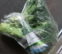 Brocoli bio