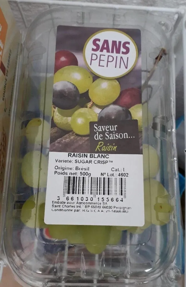 Raisin blanc sans pépin