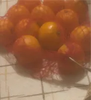 Clementine bio