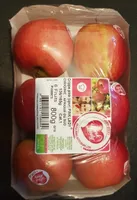 Cripps pink (cpvr) Pink lady