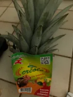 Ananas