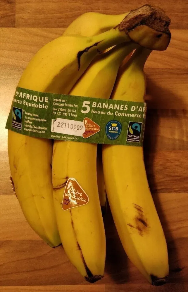 Bananes d'Afrique commerce équitable