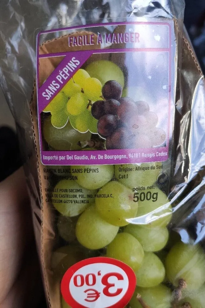 Raisin Blanc sans pepins