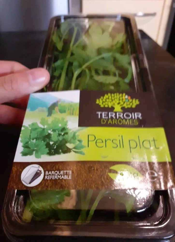 Persil plat