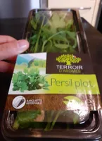 Persil plat