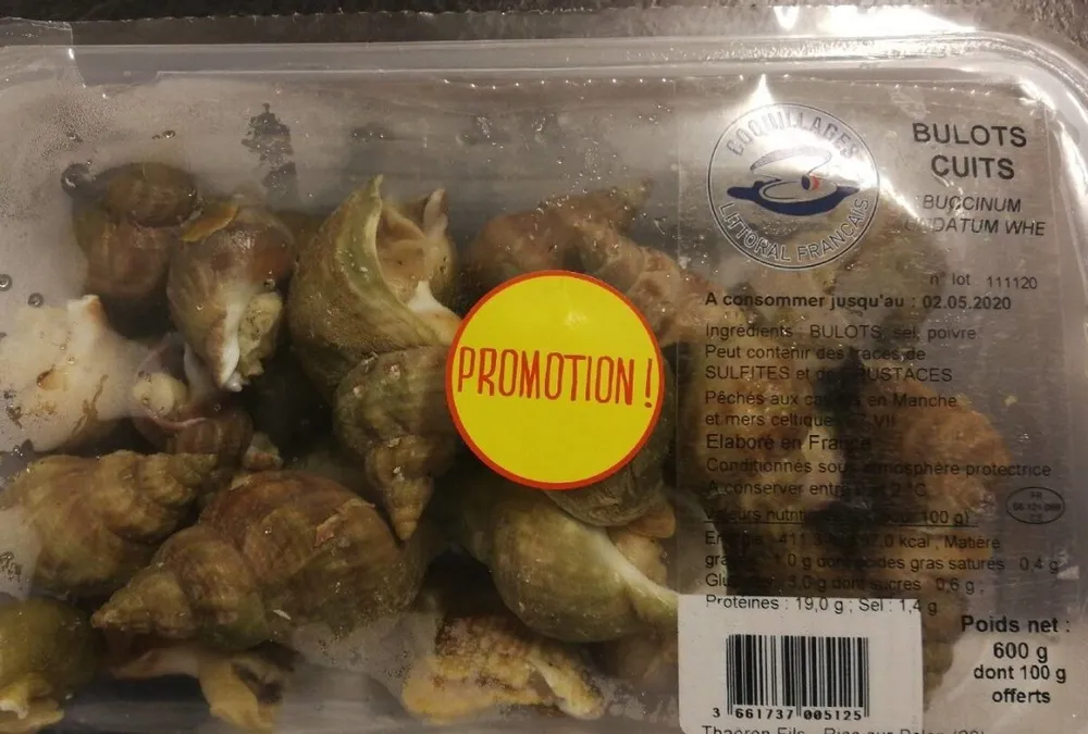 Bulots cuits