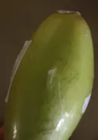 Mangue Verte acide