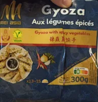 Gyoza aux légumes épicés
