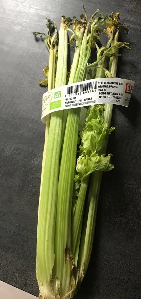 Céleri Branche Bio