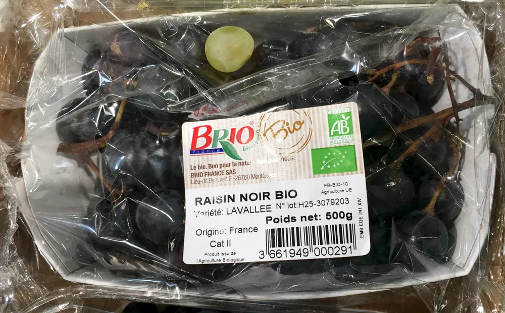 Raisin noir bio