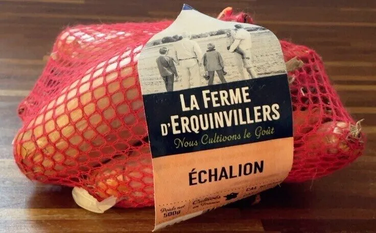 Échalion