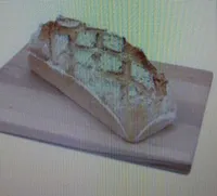 pain campagne moule bio