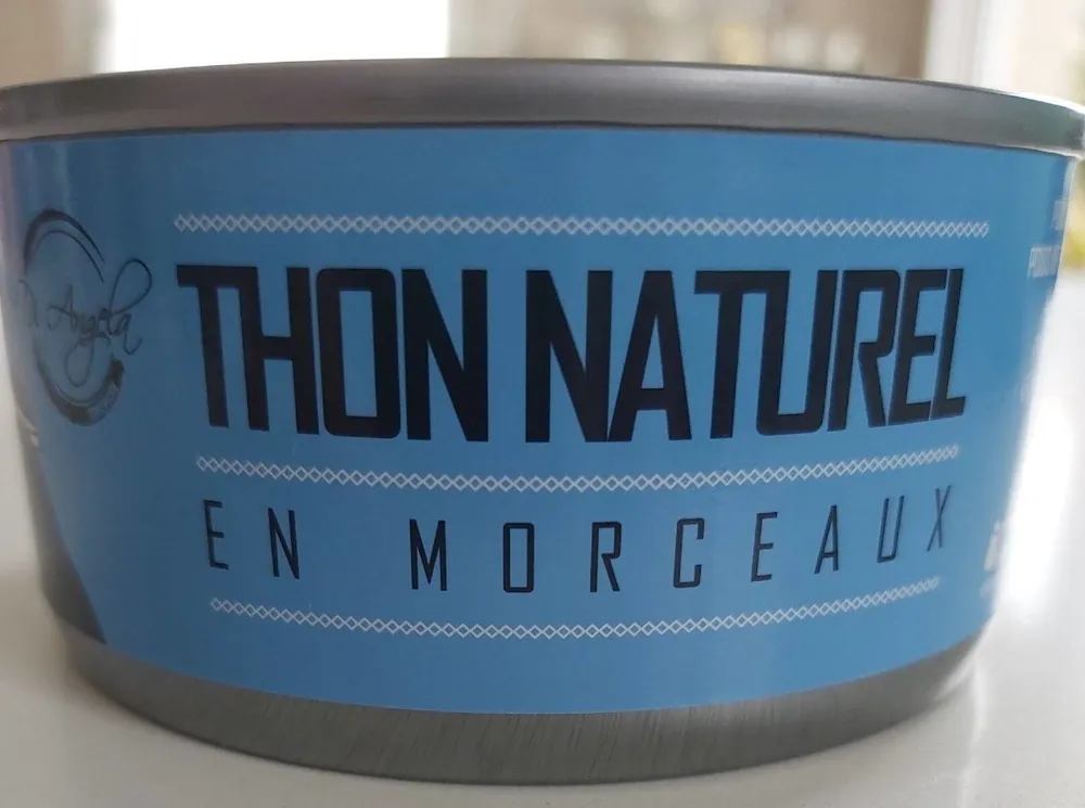 Thon naturel en morceaux
