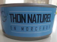 Thon naturel en morceaux
