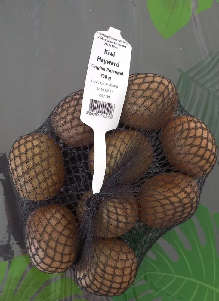 Kiwi Hayward