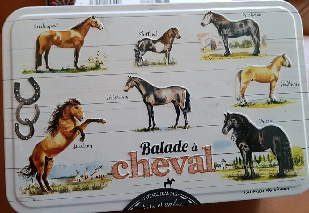 Palets et galettes au beurre