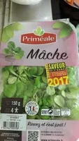 Mache