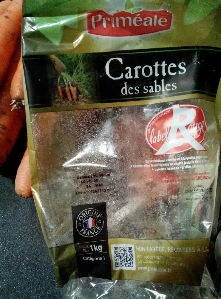 Carrottes des sables