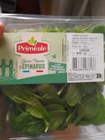 Jeunes pousses d'épinards